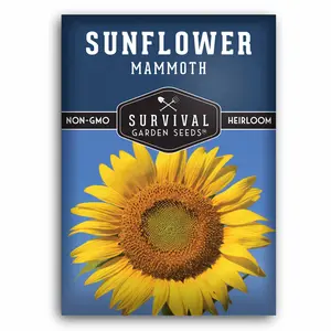 Mammoth Sunflower Seed - Grow 12 foot tall sunflowers