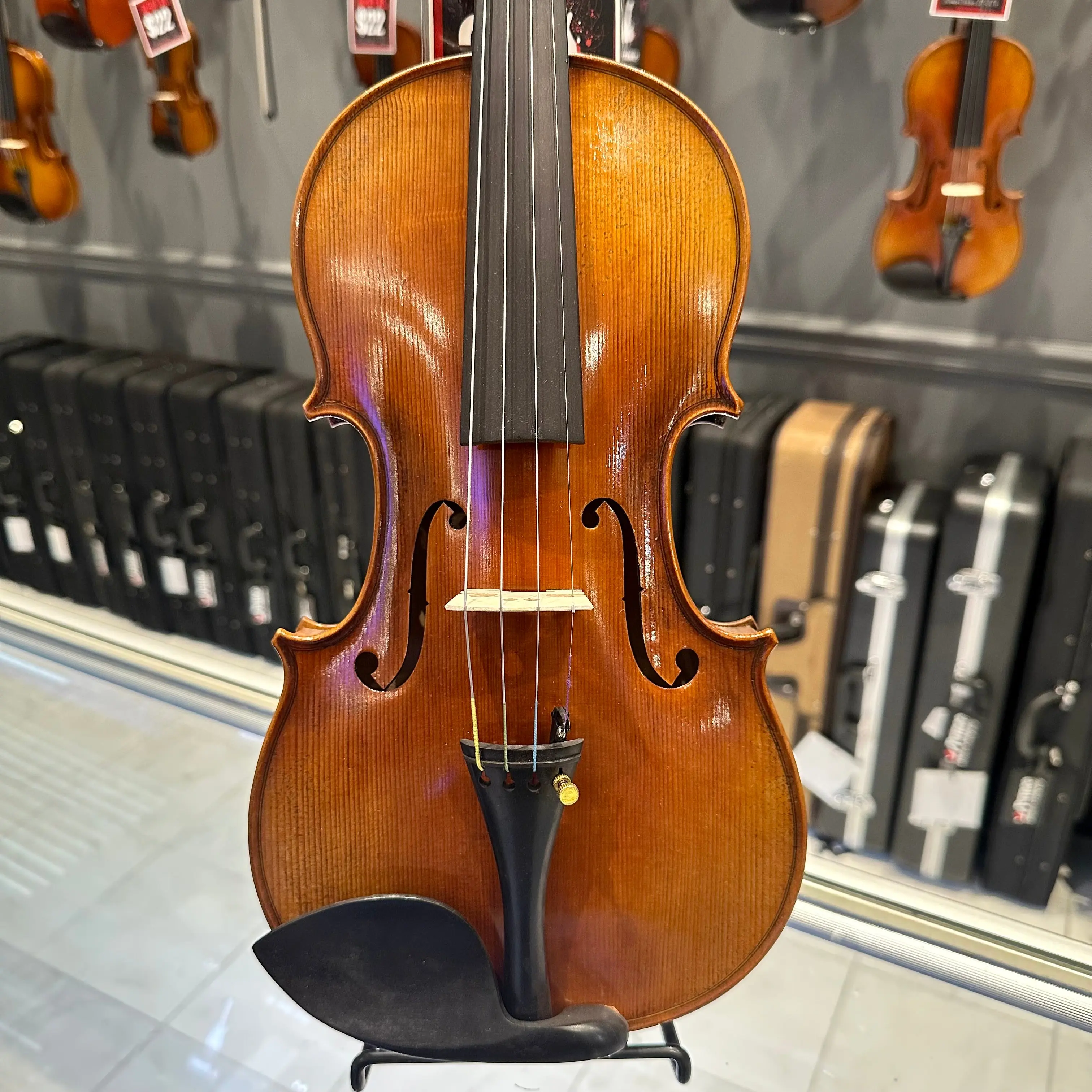 Strumenti a Corde 6200: Intermediate Violin