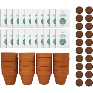 Seeds Spruce Terracotta Mini Grow Pots – Indoor Tree Starter Kit Bulk 20-Pack – DIY Planting Kit – Grow Mini Spruce Trees for Gardening, Classroom Projects, Crafts, Gifts & Earth Day