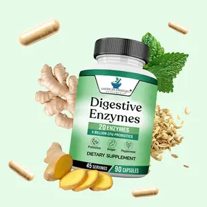 American Standard Digestive Enzymes with 20 Enzymes 4 Billion CFU Probiotics Prebiotics & Herbs, 90 Capsules for Gut Health