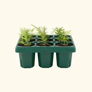 Vego Garden Giga Seedling Trays Multi-Pack 9-Cell 10"x10" UV-Resistant Reusable Starter Trays for Greenhouse Garden No Lids Air Pruning Design Extra-Large 2.83" Cells