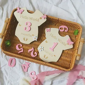 Wooden Milestone Set for Baby's First Month, Cute Butterfly & Flower Design, Keepsake Gift, Photo Prop, Shower Decoration, Wooden Letter Sign