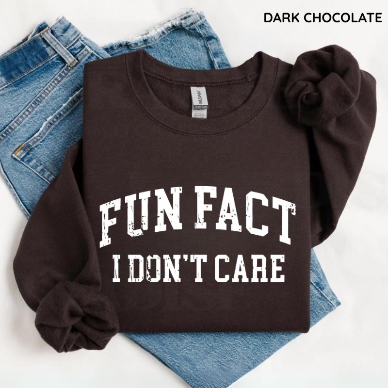 Fun Fact I Don't Care Funny Sweatshirt, Sarcastic College Sweatshirt, Adult Humor Pullover Shirt, Talkative Person Shirt, Sarcastic Funny Quote Crewneck