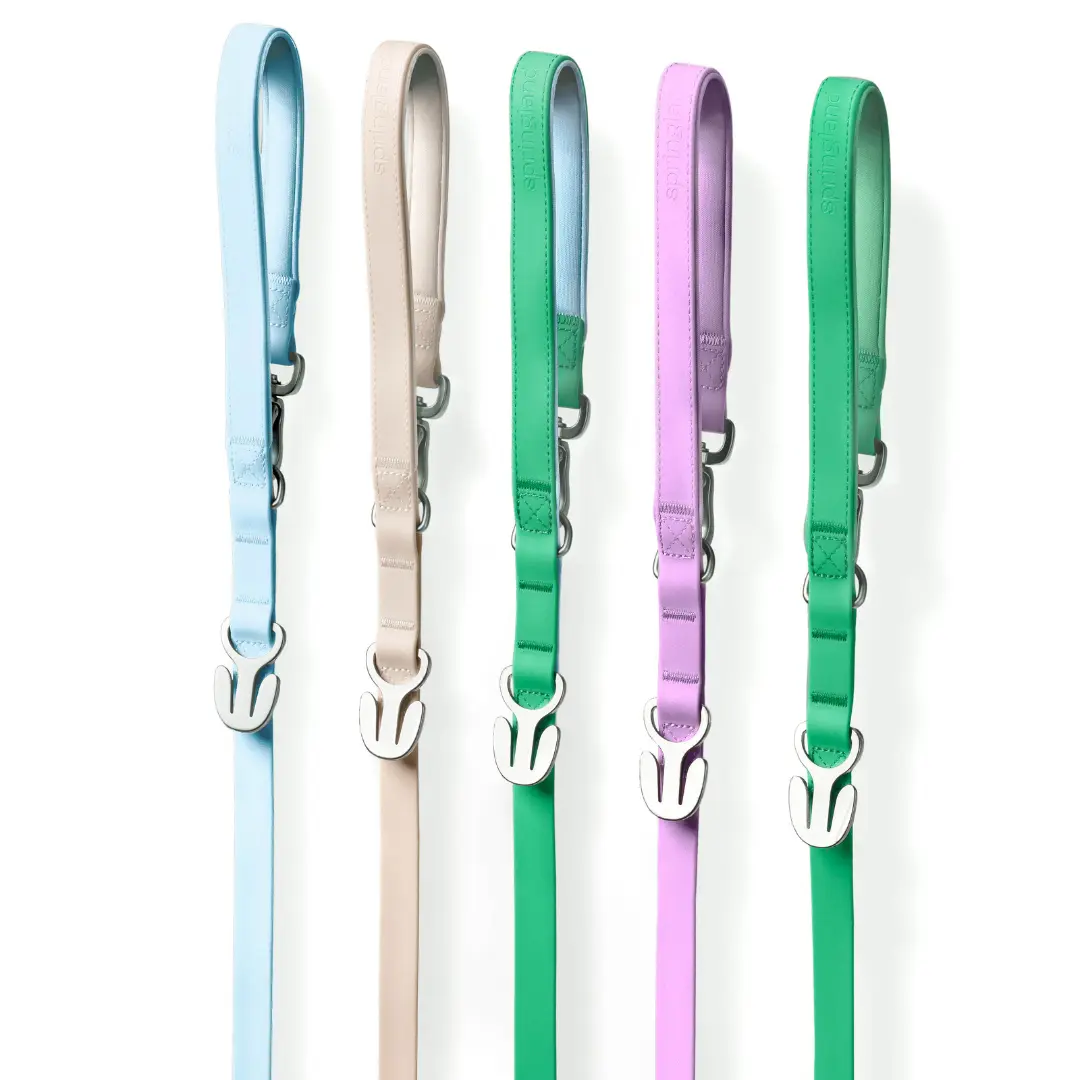 Waterproof Dog Leash - 5ft