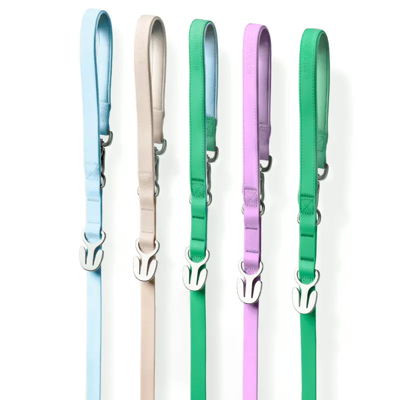 Waterproof Dog Leash - 5ft
