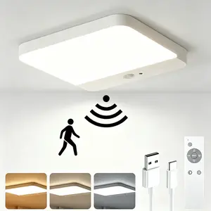 Rechargeable Motion Sensor Ceiling Light with Remote - Magnetic Wireless Ceiling Light for Closet Shower Stairs Shed Hallway Garage ect, Living Room Bathroom Home & Kitchen Decor Lighting