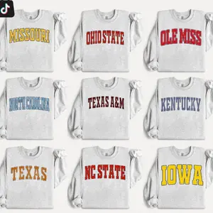 [Custom Team ]All Team - Custom University Sweatshirt - Ash Grey, Personalized College Sweatshirt, University Name Sweater, Game Day Shirt BJZ
