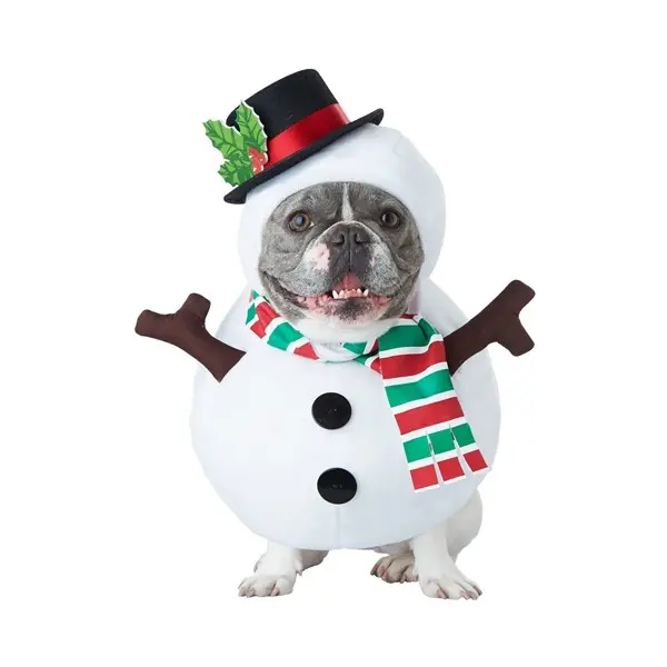 Dog Snowman Costume