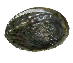 Abalone Shell Statuette for Jewelry Storage & Spiritual Practices | Decor Ornaments