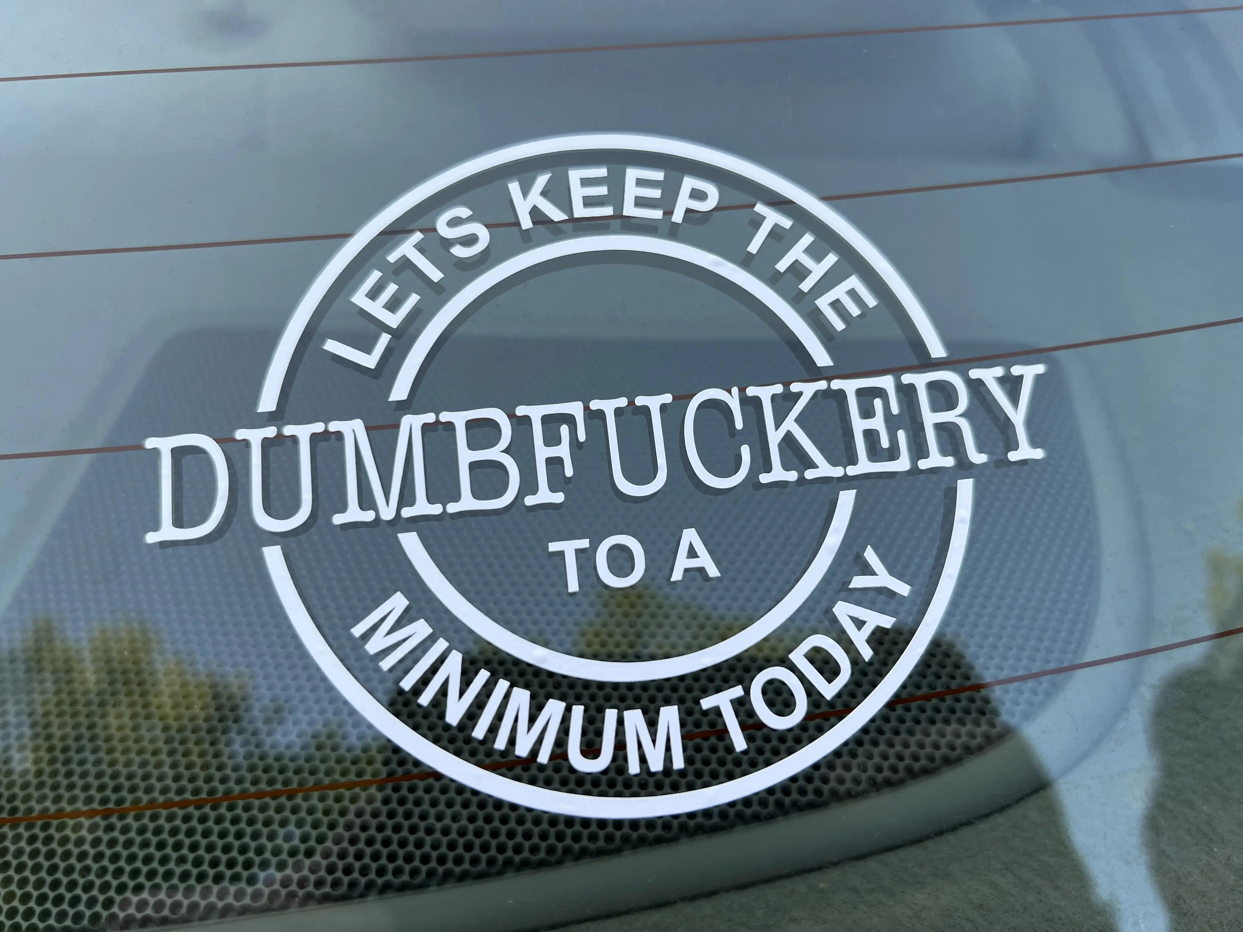 Lets Keep The Dumbfuckery To A Minimum Vinyl Decal - 2 PACK Sticker For Cars Vehicle Exterior Decoration