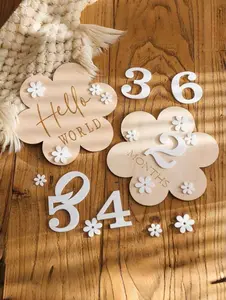 1 Set Baby 1-12 Months Wooden Flower Milestone Cards – Double-Sided Newborn Monthly Milestone Discs, Baby Growth Record Photography Props, Wooden Milestone Pendant Set For Baby Shower & Nursery Photo Keepsakes