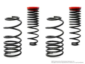 Lowering Springs Kit | Sport • 2.8L Corrado