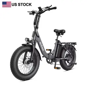 ACTBEST 20*4 inch fat tire 48v 20ah 750w folding electric city cargo bike