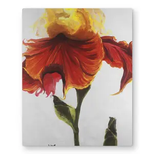Begin Home Decor C1MP16200UCCLS 16 x 20 in. Blossoming Lily Flower - Red Metal Print Wall Art for Home Decor