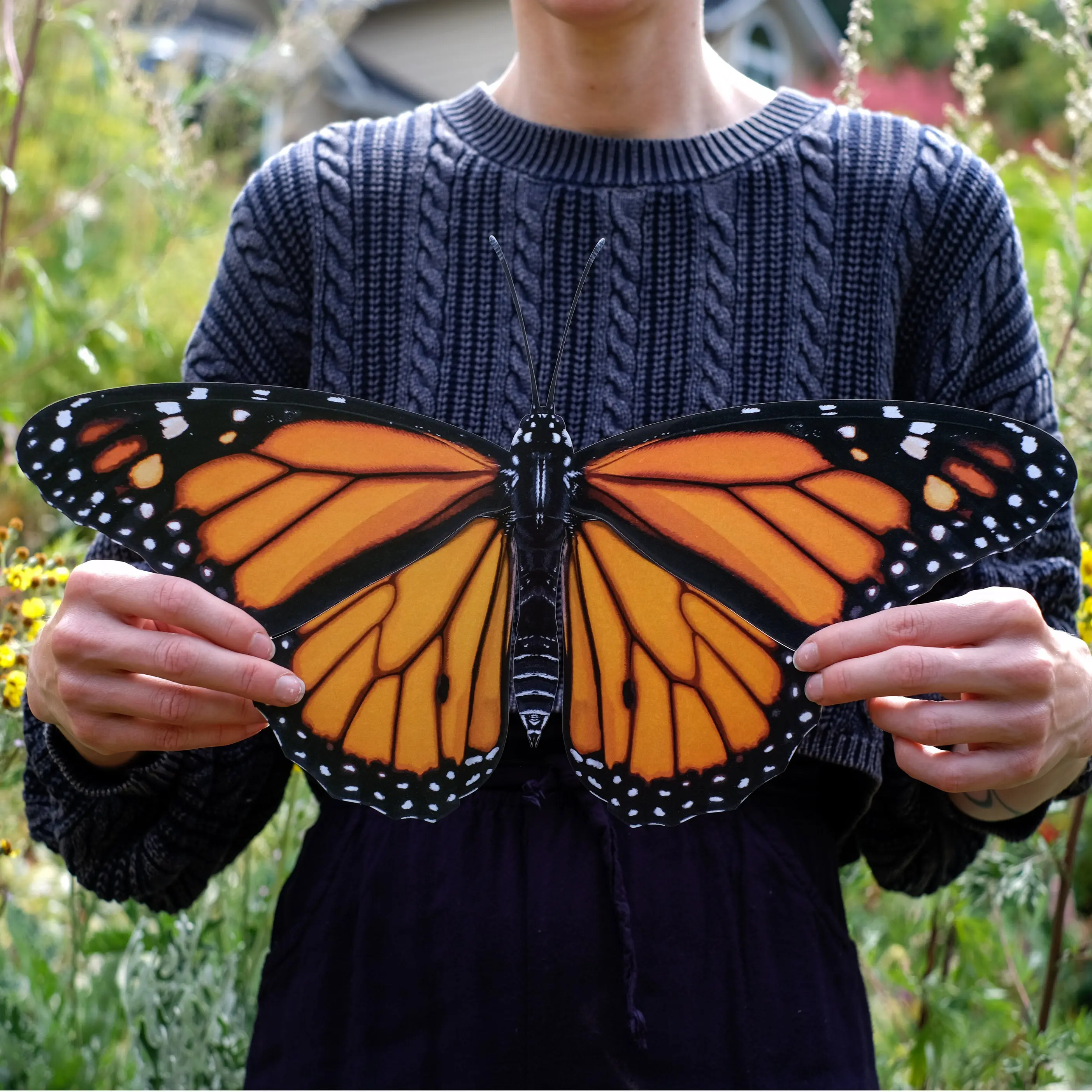 'Giant Monarch' Butterfly