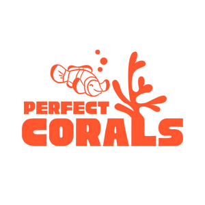 Perfect Corals