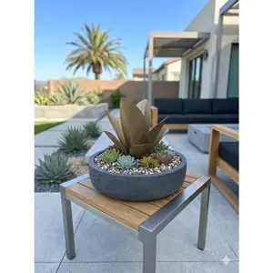 Bronze Agave Pup – 8"