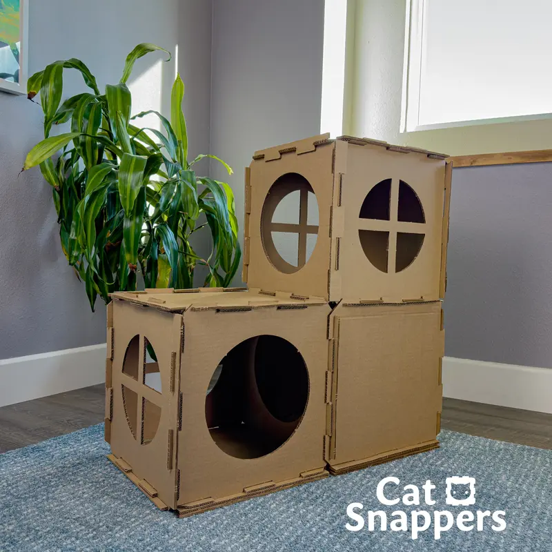 dracaena safe for cats - TikTok Shop