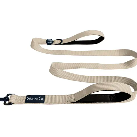 ShawnCo | Dream Walk Dog Leash- Premium, Nylon Pet Leash with Soft Neoprene Handle for Small, Medium and Large Dogs
