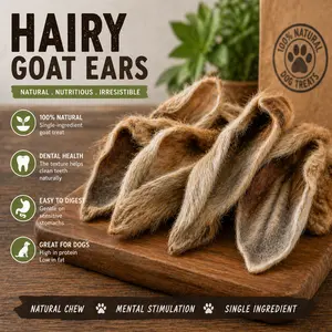 Hairy Goat Ear