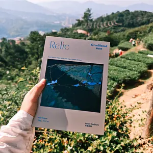 RELIC,Collection Edition Oolong Tea,Premium Shuixian Tea,Rich in Tea Polyphenols, Natural Antioxidant, Anti-inflammatory Tea, Promotes Digestion,Plant-based & Gluten Snacks,Vitamins, Minerals & Wellness Supplements Beverage,Cold-fighting Foods