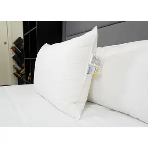 Envirosleep Dream Memories Memorelle Fiber Fill Pillow