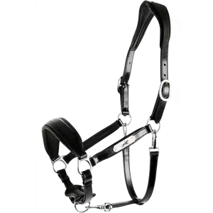 Schockemöhle SP Fremont Pro Halter