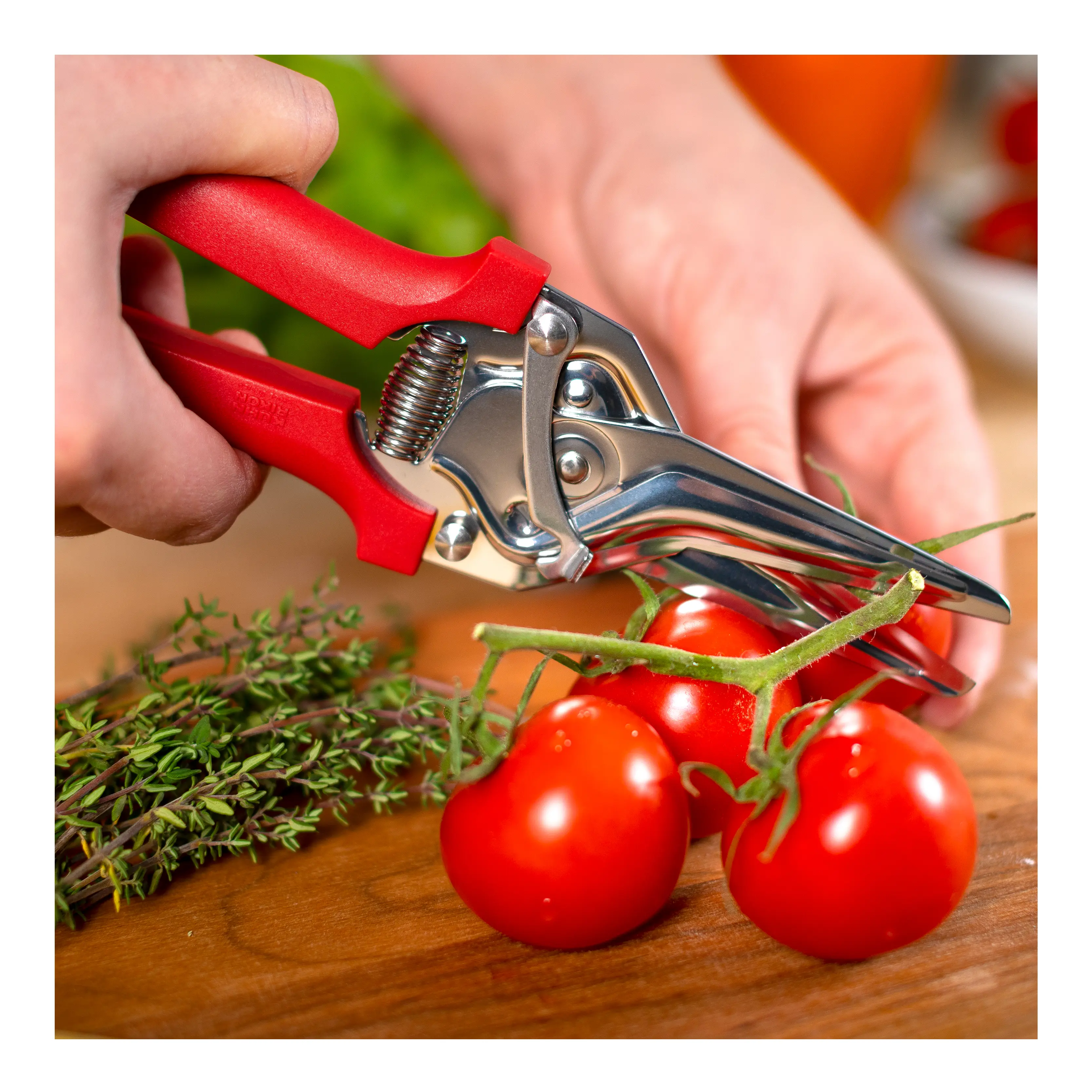 KUHN RIKON Classic Snips 8” Red