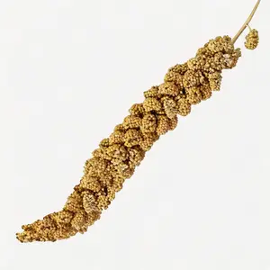 Parrot Snack Sticks, Millet Sprays, Wheat Ears, Millet, Bird Food And Feed, Hamster Food, Specially Designed for Budgerigars, Cockatiels And Peony Parrots, Training Rewards for Parrots, Hamster Feed