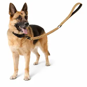 Multifunctional Dog Leash with Shock-Absorbing Bungee and Car Seat Belt Clip, Reflective Lead with Traffic Handle and Heavy-Duty Carabiner for Small Medium Large Dogs, Safety