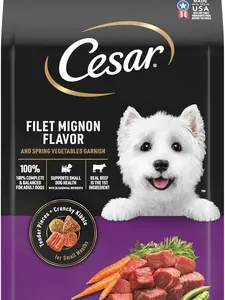 CESAR Adult Small Breed Dry Dog Food, Filet Mignon Flavor with Spring Vegetables Garnish, 5 lb. Bag