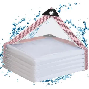 Clear Tarps Heavy Duty Waterproof 5*7,Clear Plastic Tarp with Grommets,Transparent Vinyl Tarpaulin for Outdoor,Plant,Garden,Chicken Coop,Patio,Cat Litter Lightweight Canopy Shelter Camping Sun Shelter