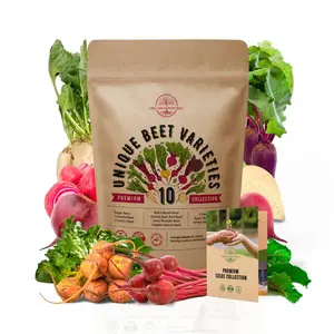 Organo Republic 10 Rare Beet Seeds Variety Pack for Planting Indoor & Outdoors 1000+ Heirloom Non-GMO Bulk Beets Gardening Seeds: Chioggia, Detroit Dark Red, Sugar, Cylindra, Bulls Blood, White Albino