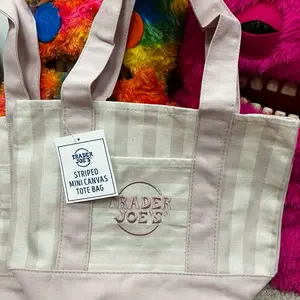 Trader Joe's Striped Canvas Mini Tote Summer 2026