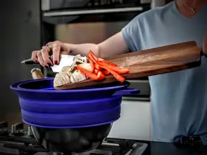 SplatterDom Splatter Protector for 10 and 12 Inch (25 and 30 Centimeters) Pots & Pans - Collapsible, Adjustable, Reversible, Microwave & Dishwasher Safe - Includes a 10 Inch Lid