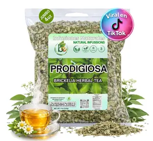 VIRAL Prodigiosa Herbal Tea – 4 oz (113g) – 100% Natural Mexican Herb – Wildcrafted Brickellia – Vegan, Non-GMO – Loose Leaf Herbal Infusion – by Bexpertsusa