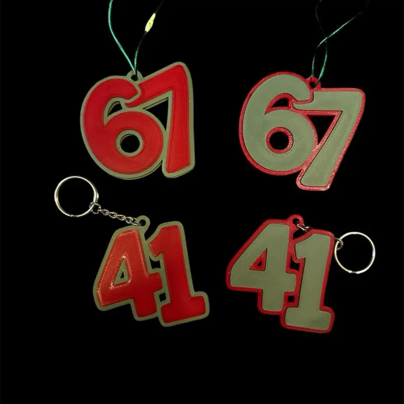 6/7 and 41 3D 2.5 inch long keychain and ornament