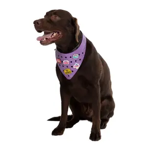 Charmdana- Violet- Light Weight Rubber Dog Bandana with Charms!