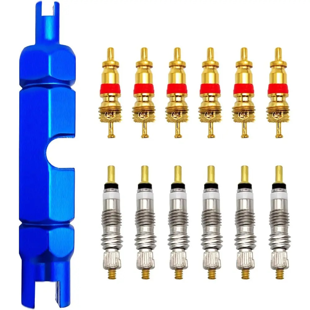 Bicycle Valve Core Remover Tool Kit Universal Bike and Car Valve Core Repair Tightening Tool and 12pcs Valve Cores Replacement For Presta,Schrader Valve-Blue