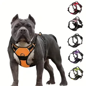 High Quality Adjustable No-Pull Dog Harness, Padded Vest with Dual Leash Clips - Prevents Choking, Ensures Comfortable Walking