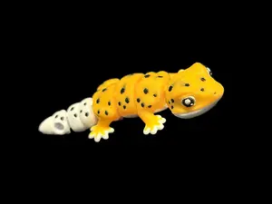 Leopard Gecko (Medium Size)