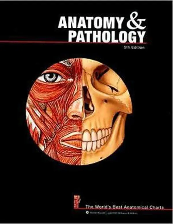 USED Book - Anatomy & Pathology by Anatomical Chart Company (Paperback) - english