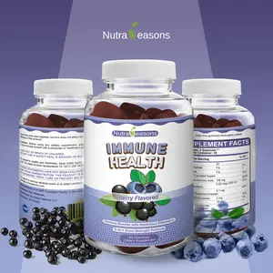 3 Bottles of Nutra Seasons Sambucus Elderberry Immune Gummies, Daily Immune Support, with Vitamin C, D3, E, Zinc, Natural Berry Flavor, 60 Gummies