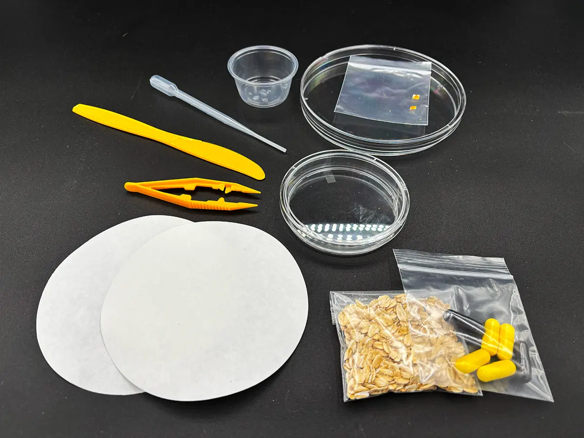 Collector Blob Kit - Slime - Physarum polycephalum