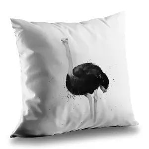 Begin Home Decor C1PT1414PZE62M 14 x 14 in. Ostrich in Watercolor - Wildlife Poly Twill Throw Pillow