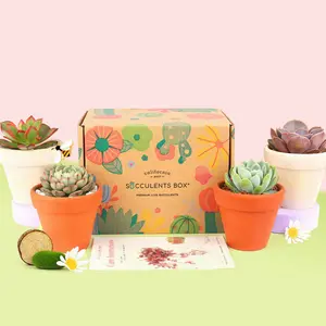 4 Succulents 4 Clay Pots/month - 12 month Subscription