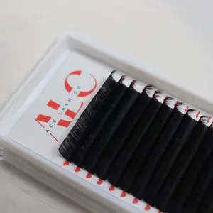 Royal Silk lash tray