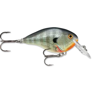 Rapala DT Series Crankbait DT4