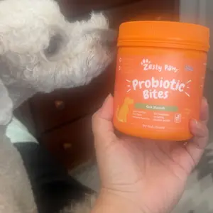 Product Review of Zesty Paws Probiotic Bites for Dogs - Canine Nutritional Supplement with Six Probiotics for Gut Health & Immune Function from @**6