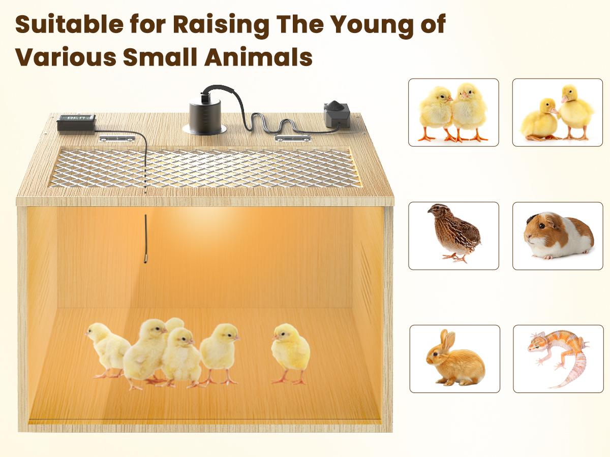 Brooder Box for Chicks, 16 Inch Wooden Chicken Brooder Box with 75W Heat Lamps, Thermometer and Tin Foil, Poultry Breeding Kit, Ideal for 5-7 Newborn Chicks Ducks Quails Hamsters, Small